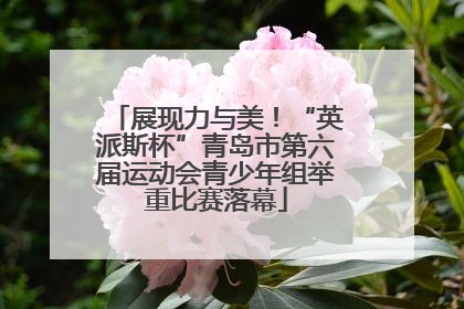 展现力与美！“英派斯杯”青岛市第六届运动会青少年组举重比赛落幕