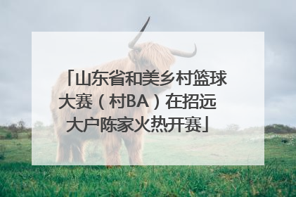 山东省和美乡村篮球大赛（村BA）在招远大户陈家火热开赛