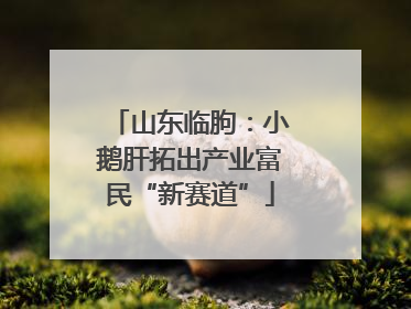 山东临朐：小鹅肝拓出产业富民“新赛道”
