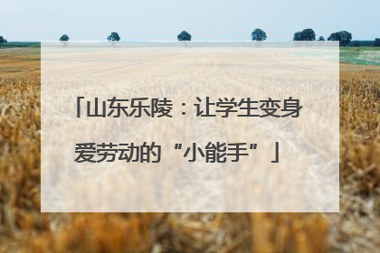 山东乐陵：让学生变身爱劳动的“小能手”