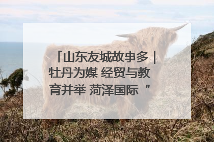 山东友城故事多｜牡丹为媒 经贸与教育并举 菏泽国际“朋友圈”扩容升级