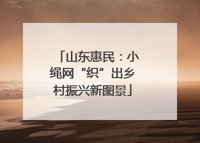 山东惠民：小绳网“织”出乡村振兴新图景
