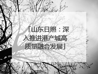 山东日照：深入推进港产城高质量融合发展