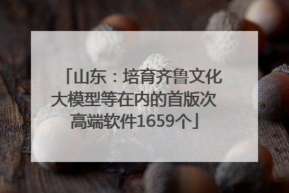 山东：培育齐鲁文化大模型等在内的首版次高端软件1659个