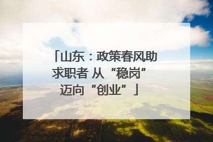山东：政策春风助求职者 从“稳岗”迈向“创业”