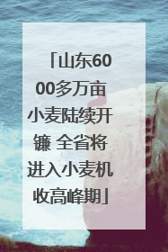 山东6000多万亩小麦陆续开镰 全省将进入小麦机收高峰期