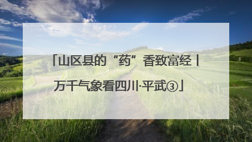 山区县的“药”香致富经丨万千气象看四川·平武③