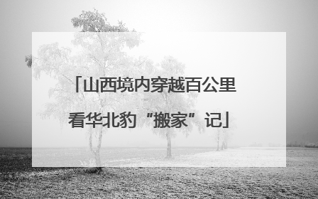 山西境内穿越百公里 看华北豹“搬家”记
