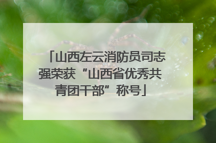 山西左云消防员司志强荣获“山西省优秀共青团干部”称号