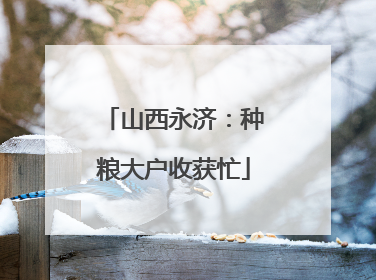 山西永济：种粮大户收获忙