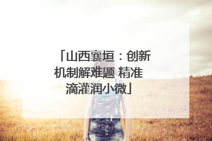 山西襄垣：创新机制解难题 精准滴灌润小微