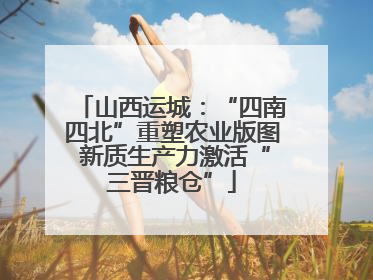 山西运城：“四南四北”重塑农业版图 新质生产力激活“三晋粮仓”