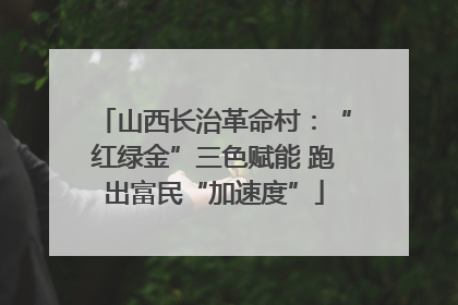 山西长治革命村：“红绿金”三色赋能 跑出富民“加速度”