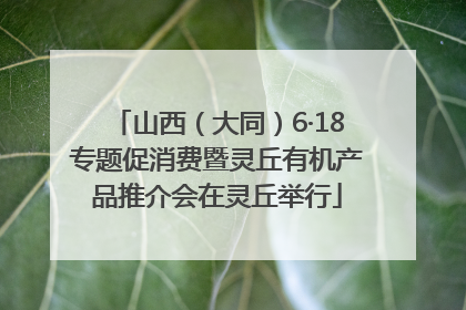 山西（大同）6·18专题促消费暨灵丘有机产品推介会在灵丘举行