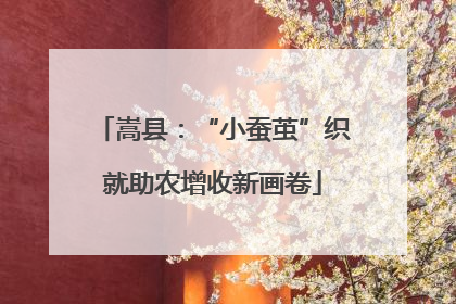 嵩县：“小蚕茧”织就助农增收新画卷