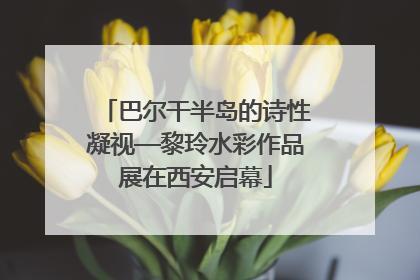 巴尔干半岛的诗性凝视—黎玲水彩作品展在西安启幕