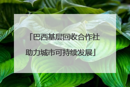 巴西基层回收合作社助力城市可持续发展