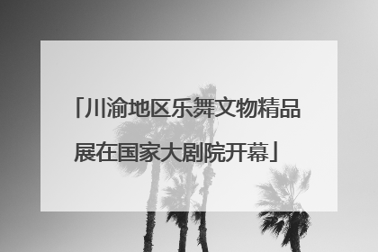 川渝地区乐舞文物精品展在国家大剧院开幕