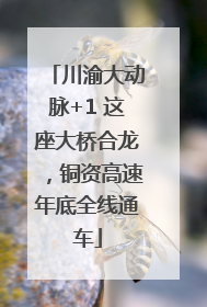 川渝大动脉+1 这座大桥合龙，铜资高速年底全线通车
