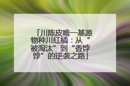川陈皮唯一基源物种川红橘：从“被淘汰”到“香饽饽”的逆袭之路
