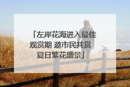 左岸花海进入最佳观赏期 邀市民共赏夏日繁花盛景