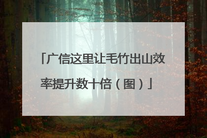 广信这里让毛竹出山效率提升数十倍（图）
