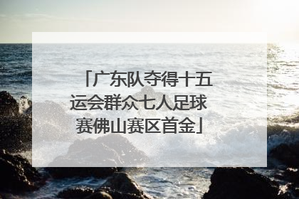 广东队夺得十五运会群众七人足球赛佛山赛区首金