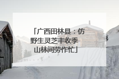 广西田林县：仿野生灵芝丰收季 山林间劳作忙