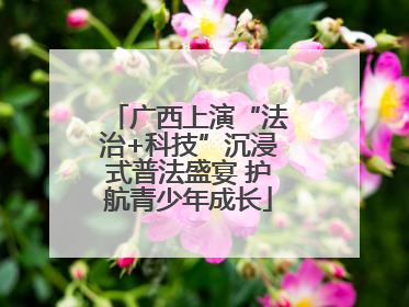 广西上演“法治+科技”沉浸式普法盛宴 护航青少年成长