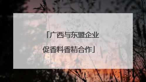 广西与东盟企业促香料香精合作