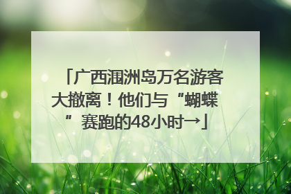 广西涠洲岛万名游客大撤离！他们与“蝴蝶”赛跑的48小时→