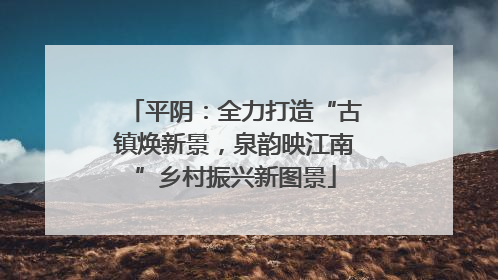 平阴：全力打造“古镇焕新景，泉韵映江南”乡村振兴新图景