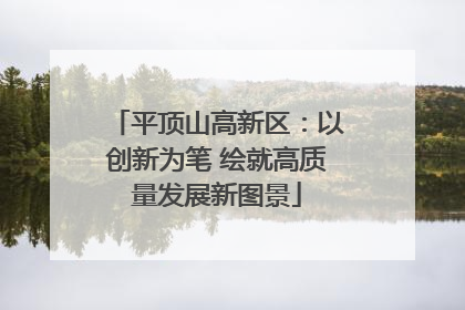 平顶山高新区：以创新为笔 绘就高质量发展新图景