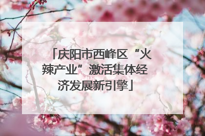庆阳市西峰区“火辣产业”激活集体经济发展新引擎