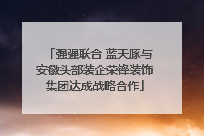 强强联合 蓝天豚与安徽头部装企荣锋装饰集团达成战略合作
