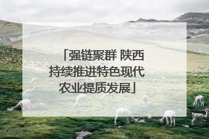 强链聚群 陕西持续推进特色现代农业提质发展