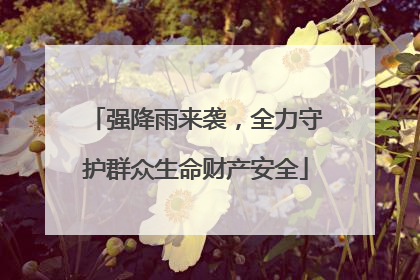 强降雨来袭，全力守护群众生命财产安全