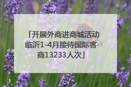 开展外商进商城活动 临沂1-4月接待国际客商13233人次