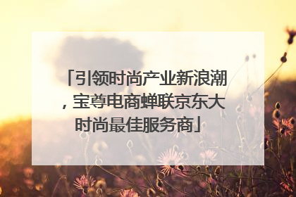 引领时尚产业新浪潮，宝尊电商蝉联京东大时尚最佳服务商