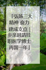 弘扬三大精神 奋力建成支点｜乡亲恳请挂职医学博士再留一年