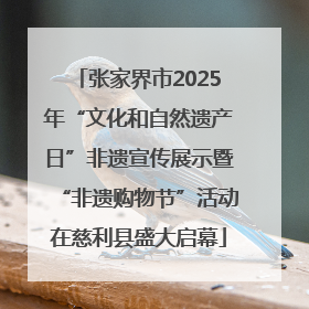 张家界市2025年“文化和自然遗产日”非遗宣传展示暨“非遗购物节”活动在慈利县盛大启幕
