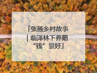 张掖乡村故事｜临泽林下养鹅“钱”景好
