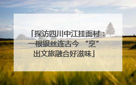 探访四川中江挂面村：一根银丝连古今 “烹”出文旅融合好滋味