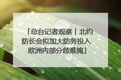 总台记者观察丨北约防长会拟加大防务投入 欧洲内部分歧难掩