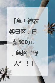急！神农架景区：日薪500元，急招“野人”！