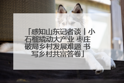 感知山东记者谈丨小石榴撬动大产业 枣庄破局乡村发展难题 书写乡村共富答卷