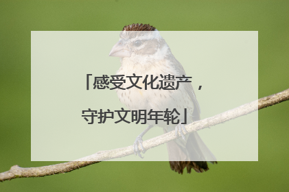 感受文化遗产，守护文明年轮