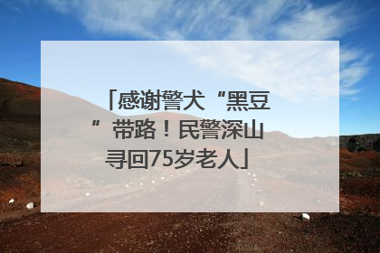 感谢警犬“黑豆”带路！民警深山寻回75岁老人