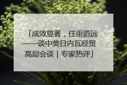 成效显著，任重道远——谈中美日内瓦经贸高层会谈｜专家热评
