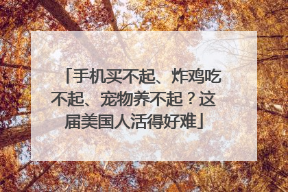 手机买不起、炸鸡吃不起、宠物养不起？这届美国人活得好难